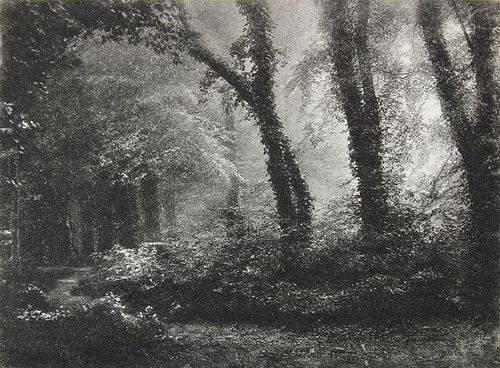 misone-sunlight-in-a-forest-1899